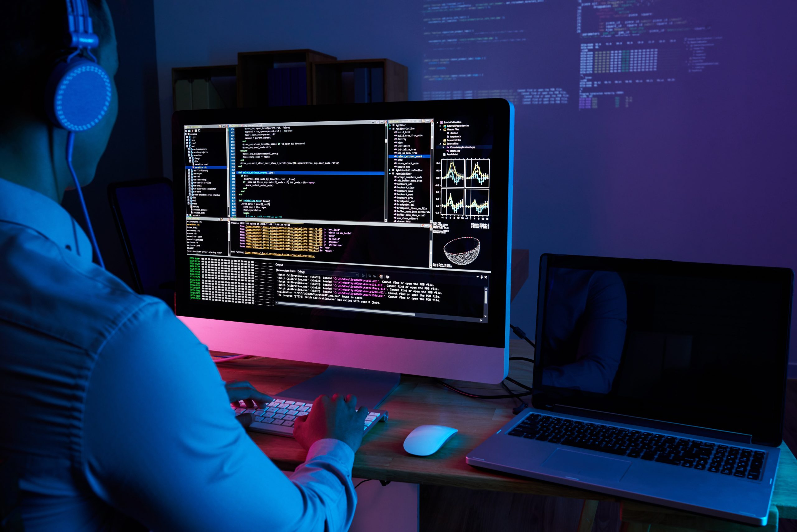 Plugin & Theme Development